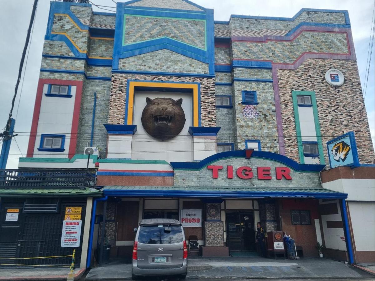 Clark Tiger 4* Angeles
